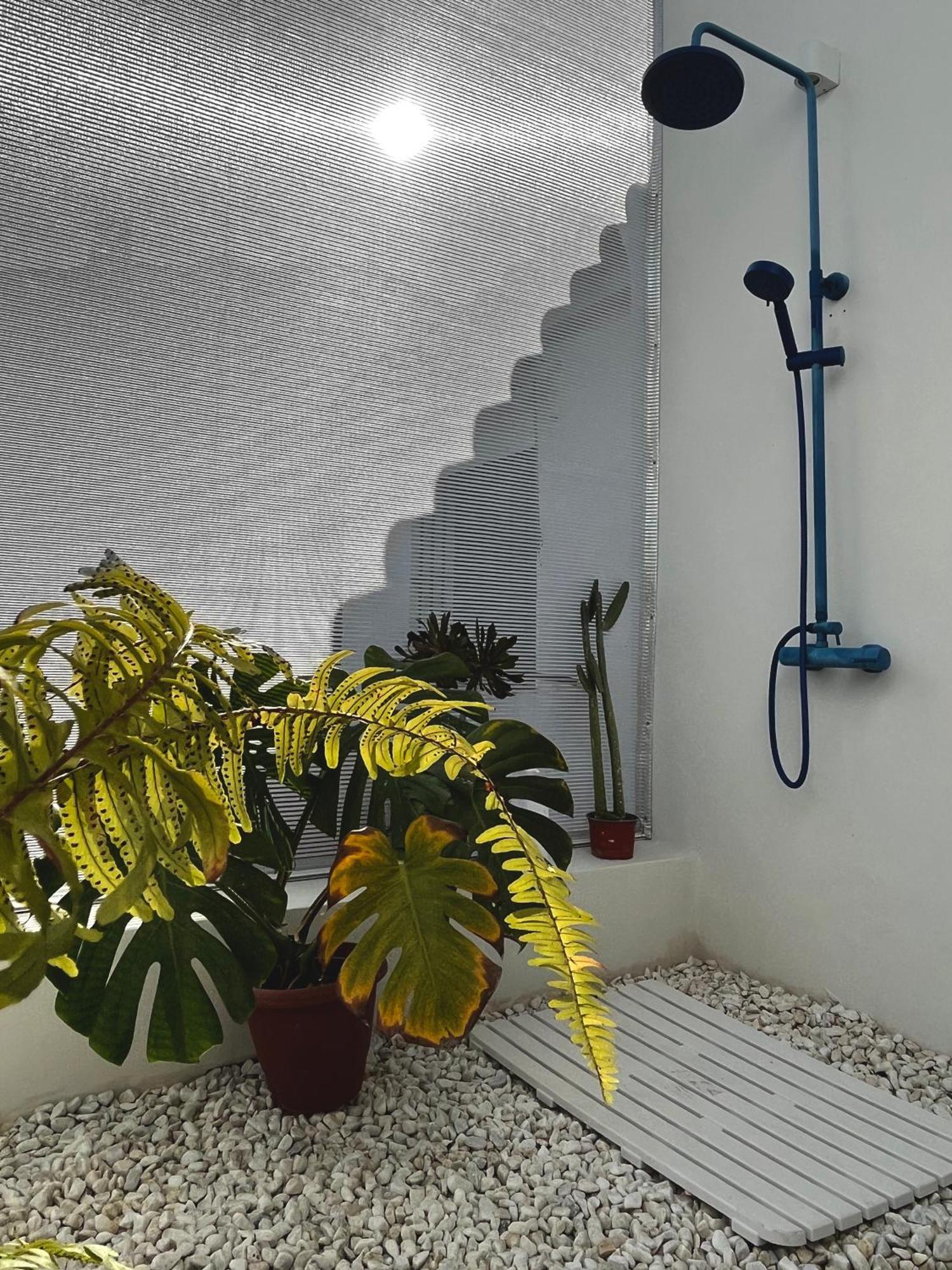 Design & Art, Patio With Orange Tree, Near Seville Carrion de Los Cespedes المظهر الخارجي الصورة